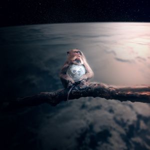 Preview wallpaper monkey, planet, photoshop, space