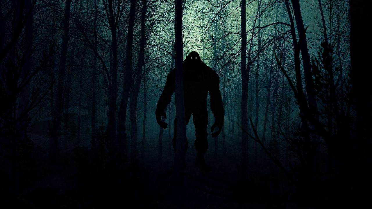 Wallpaper monster, silhouette, forest, night, art