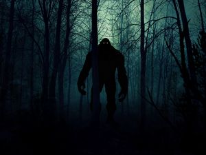 Preview wallpaper monster, silhouette, forest, night, art
