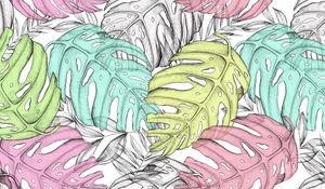 Preview wallpaper monstera, leaves, art
