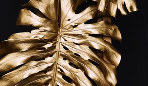 Preview wallpaper monstera, leaves, golden, paint