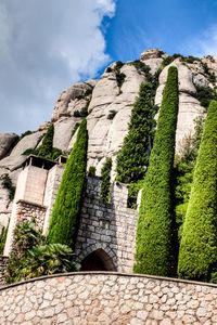 Preview wallpaper montserrat, catalonia, spain, trees