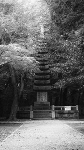 Preview wallpaper monument, statue, trees, park, bw