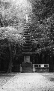 Preview wallpaper monument, statue, trees, park, bw