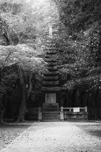 Preview wallpaper monument, statue, trees, park, bw