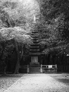 Preview wallpaper monument, statue, trees, park, bw