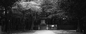 Preview wallpaper monument, statue, trees, park, bw