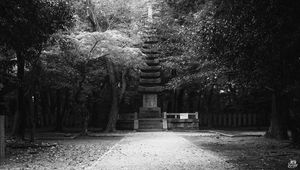 Preview wallpaper monument, statue, trees, park, bw