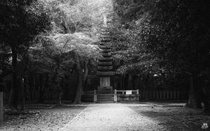 Preview wallpaper monument, statue, trees, park, bw