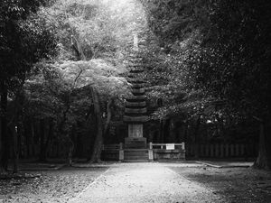 Preview wallpaper monument, statue, trees, park, bw