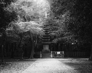 Preview wallpaper monument, statue, trees, park, bw