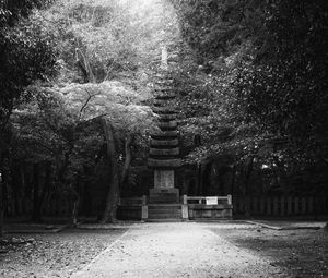 Preview wallpaper monument, statue, trees, park, bw