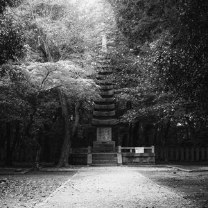 Preview wallpaper monument, statue, trees, park, bw