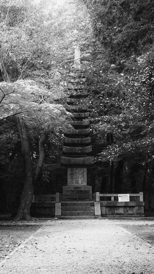 540x960 Wallpaper monument, statue, trees, park, bw