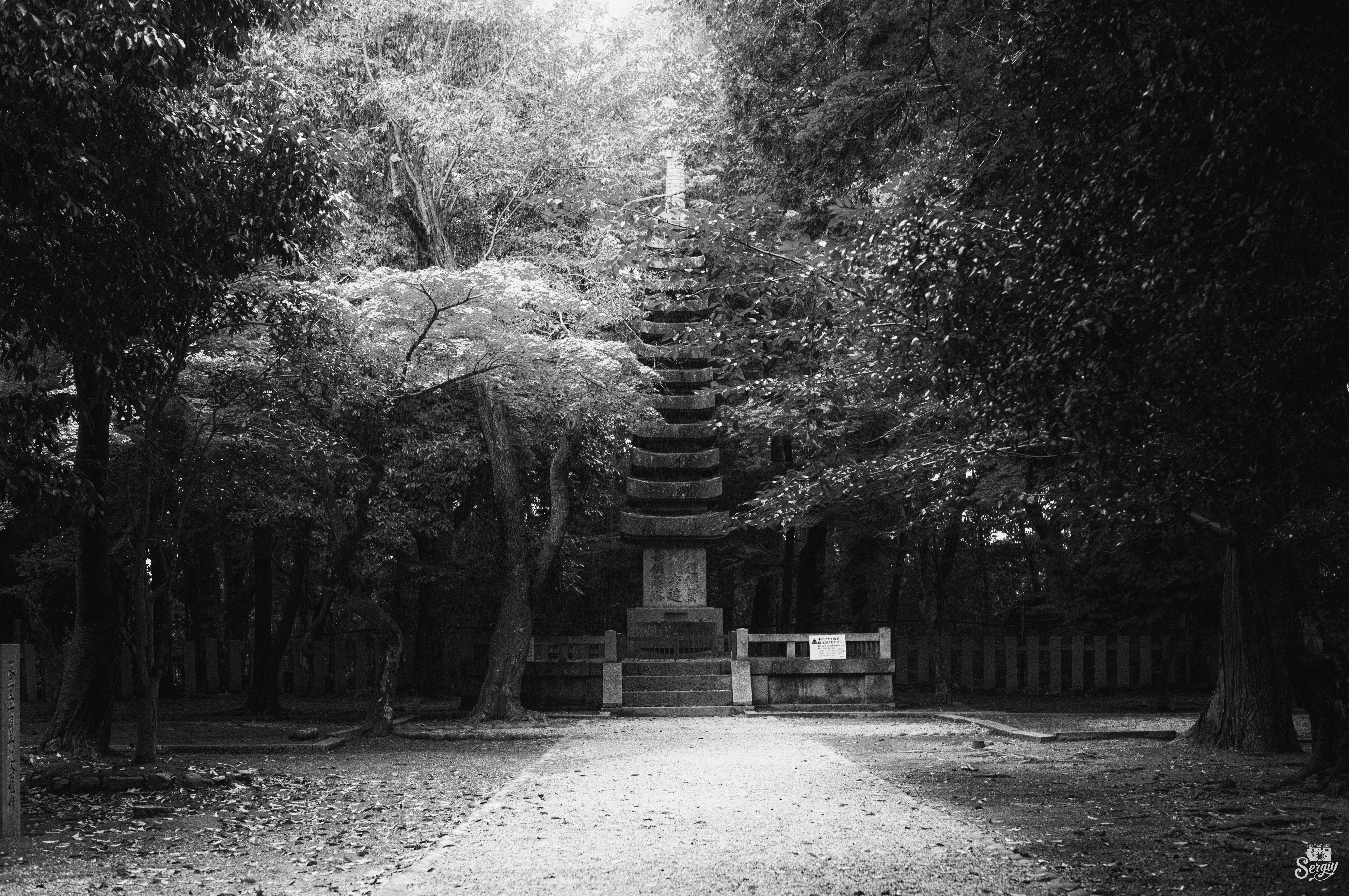 9528x6328 Wallpaper monument, statue, trees, park, bw