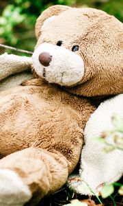 Preview wallpaper mood, bear, teddy, nature