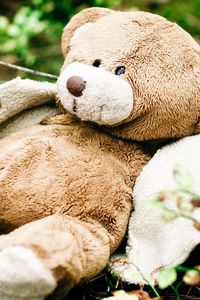 Preview wallpaper mood, bear, teddy, nature
