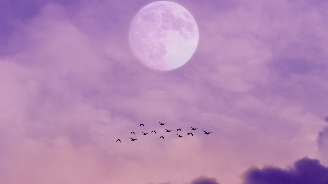 Wallpaper moon, birds, sky, clouds