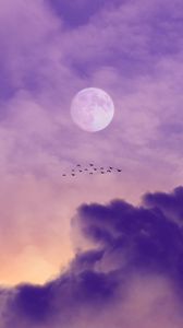 Preview wallpaper moon, birds, sky, clouds