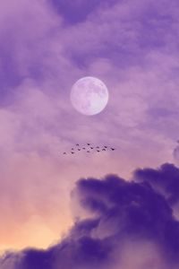 Preview wallpaper moon, birds, sky, clouds