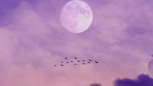 Preview wallpaper moon, birds, sky, clouds