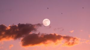 Preview wallpaper moon, birds, sunset, sky