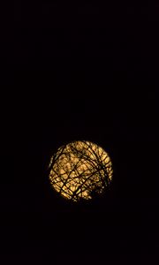 Preview wallpaper moon, branches, black, background