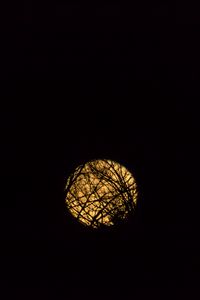 Preview wallpaper moon, branches, black, background