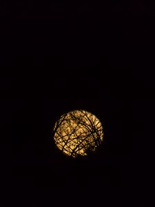 Preview wallpaper moon, branches, black, background