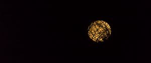 Preview wallpaper moon, branches, black, background