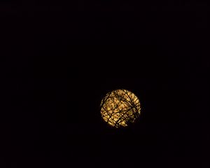 Preview wallpaper moon, branches, black, background