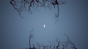 Preview wallpaper moon, branches, bottom view, night, sky