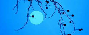 Preview wallpaper moon, branches, fruits