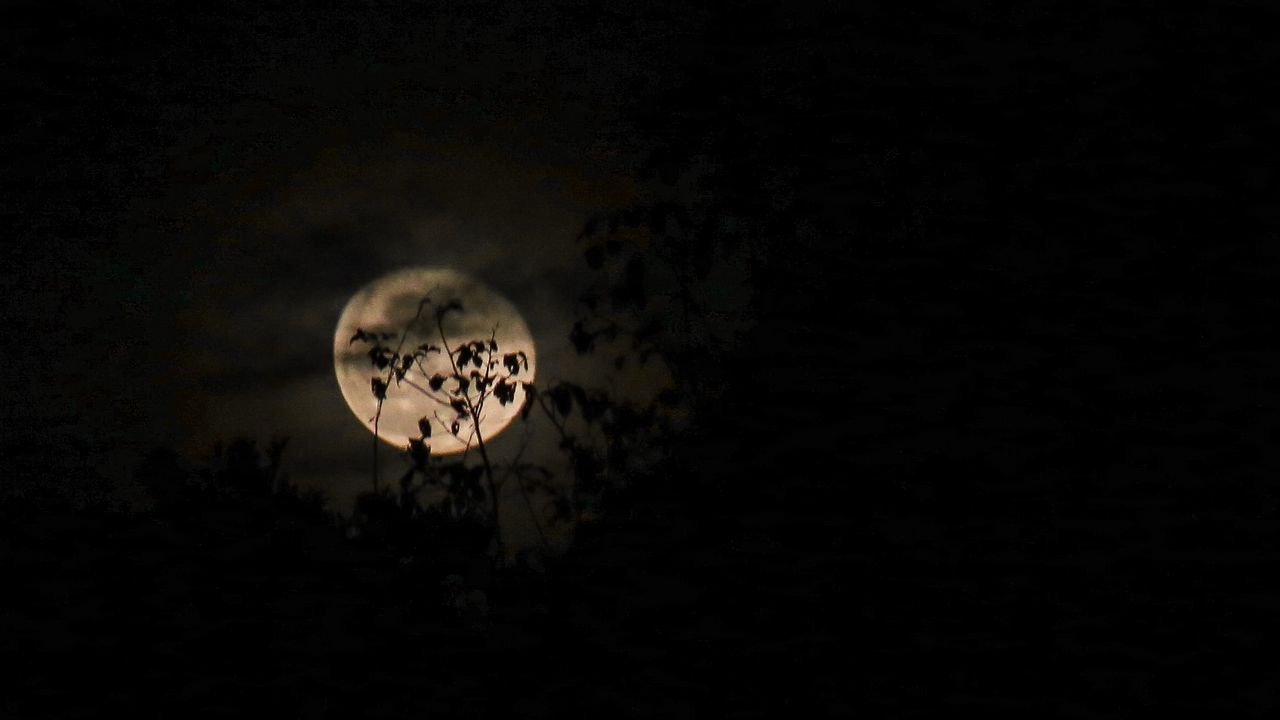 Wallpaper moon, branches, night, clouds, black