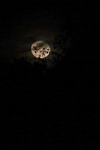 Preview wallpaper moon, branches, night, clouds, black