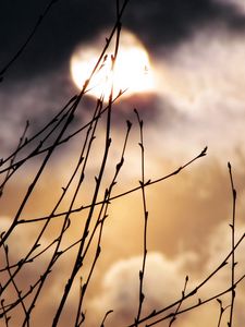 Preview wallpaper moon, branches, night, fog, kidneys, spring