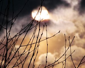 Preview wallpaper moon, branches, night, fog, kidneys, spring