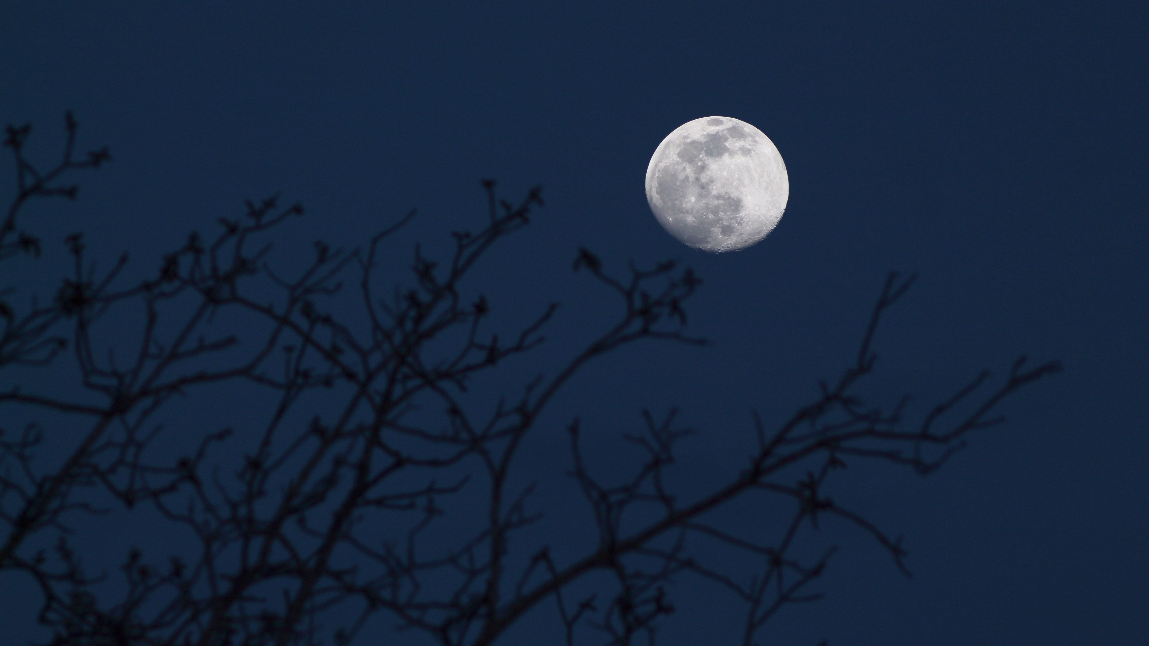 Download wallpaper 3840x2160 moon, branches, silhouettes, night, dark