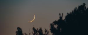 Preview wallpaper moon, branches, silhouettes, night