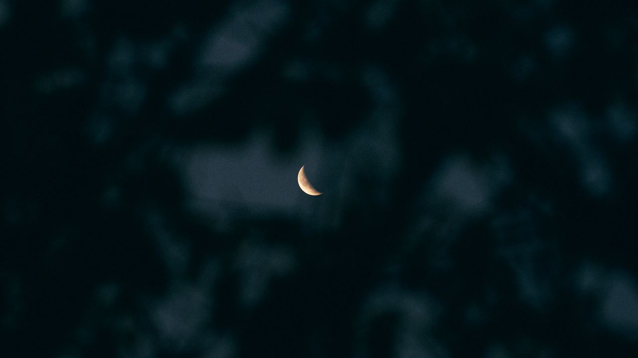 Wallpaper moon, branches, sky, dark