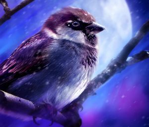 Preview wallpaper moon, branches, sparrows, art