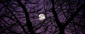 Preview wallpaper moon, branches, tree, silhouette, night