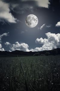 Preview wallpaper moon, clouds, grass, field, full moon, photoshop