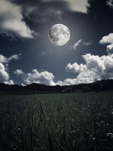Preview wallpaper moon, clouds, grass, field, full moon, photoshop