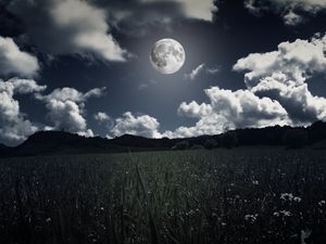 Preview wallpaper moon, clouds, grass, field, full moon, photoshop