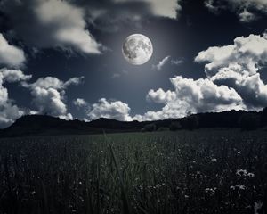 Preview wallpaper moon, clouds, grass, field, full moon, photoshop