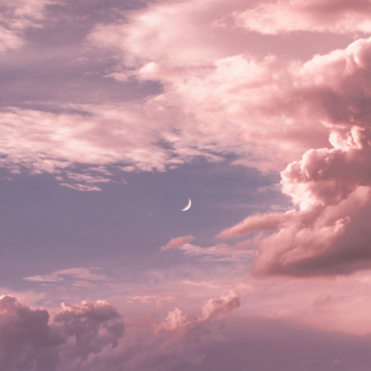 Full Moon Clouds Images - Free Download on Freepik