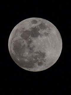 240x320 Wallpaper moon, craters, black background, planet, bw