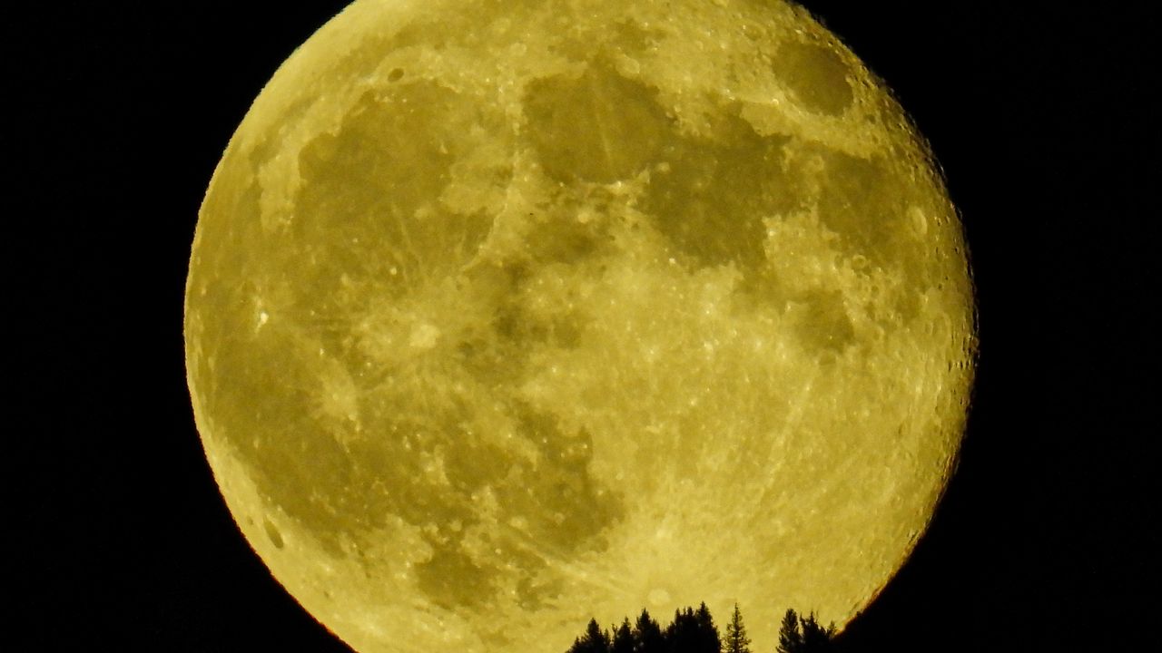 Wallpaper moon, craters, forest, trees, full moon