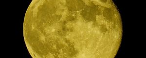 Preview wallpaper moon, craters, forest, trees, full moon